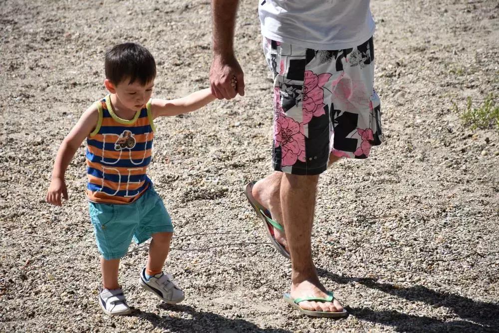 摄影作品点评差,熊猫摄影评分