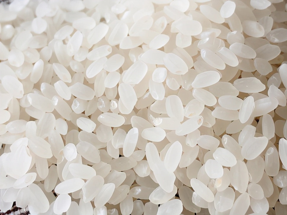 这是一篇关于寿司米的故事