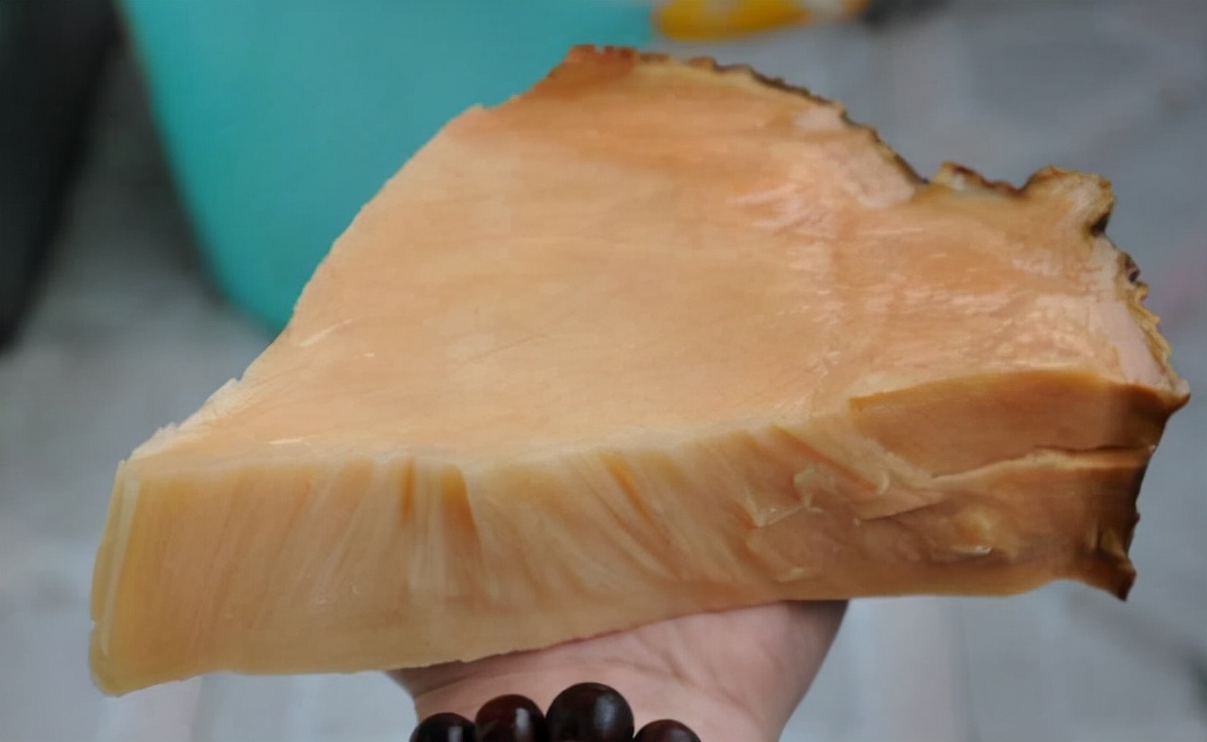 捡到太岁的真面目,捡到太岁的真实事件