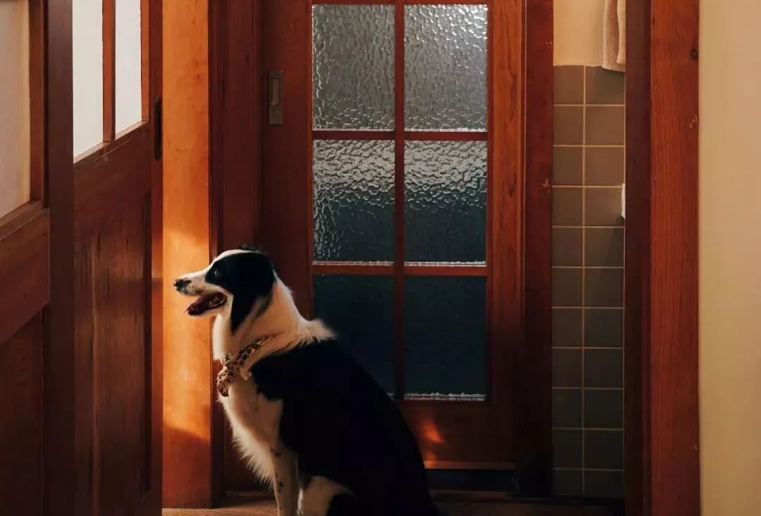 90后花9000元爆改老房子,90后夫妻精心改造精装房