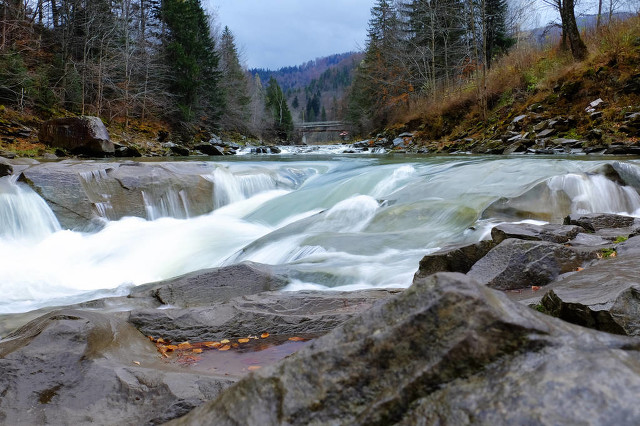 断情散DJ版,断情散完整歌曲