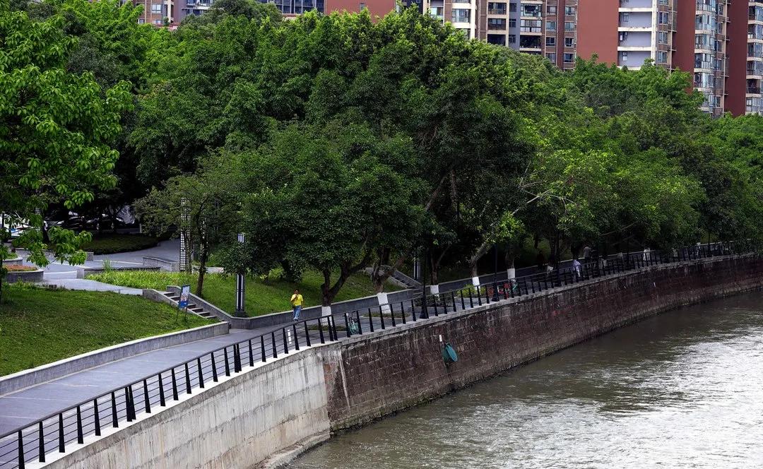 成都城南4条最美街道,成都天府新区风景优美的地方