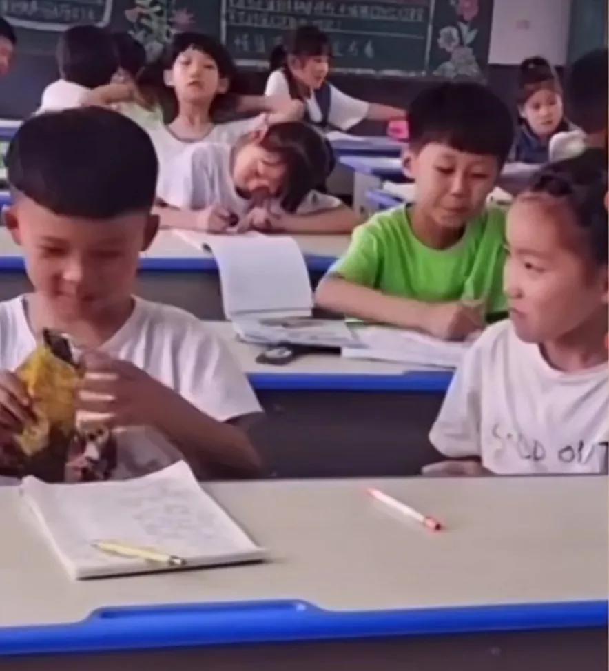 空城计中表现诸葛亮神机妙算,空城计计中计