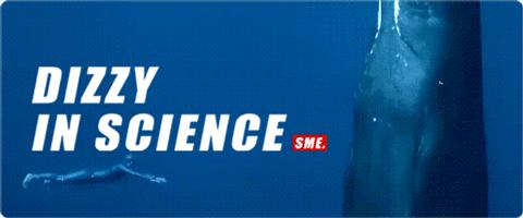 看见巨大的雕像就害怕,看到巨大的佛像会恐惧