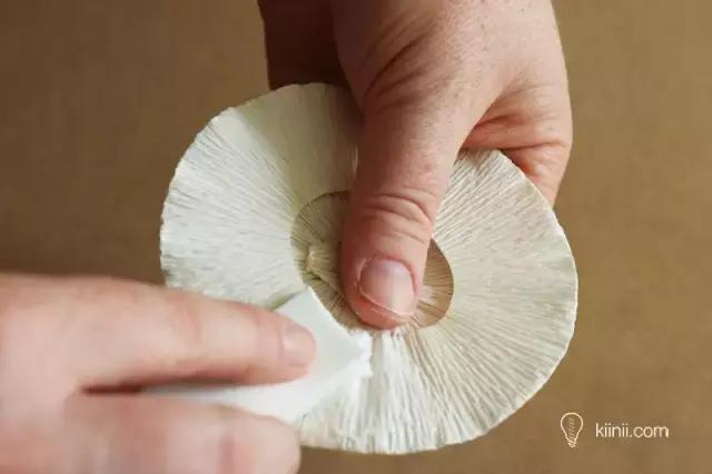 童话世界蘑菇屋农家乐 (儿童手工蘑菇屋创意介绍)