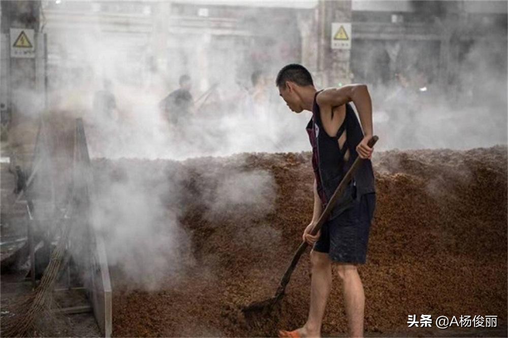 真全粮酿酒教学直播,真全粮酿酒原料配方