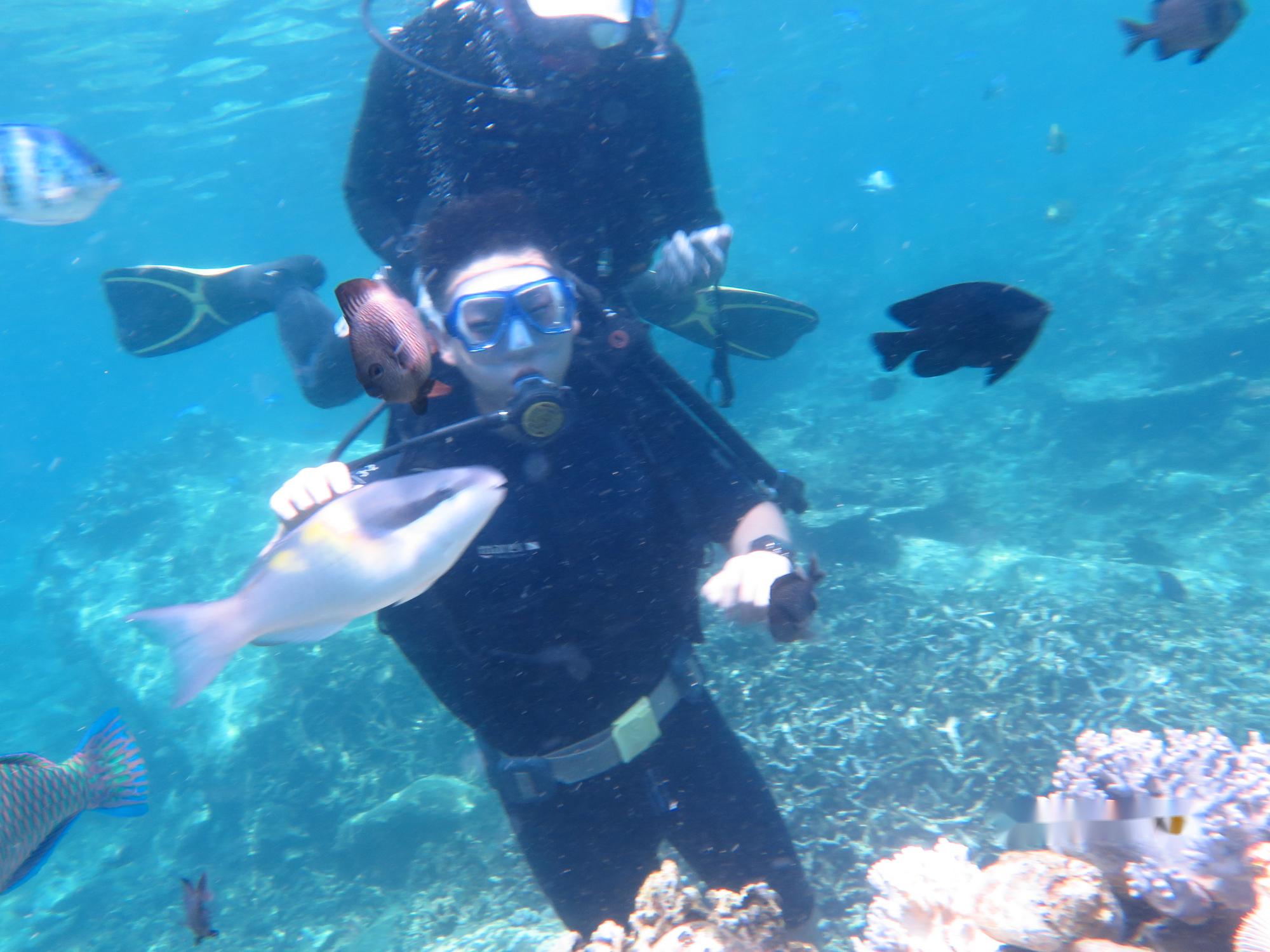 越南芽庄旅行日记第三天,芽庄旅行记全集