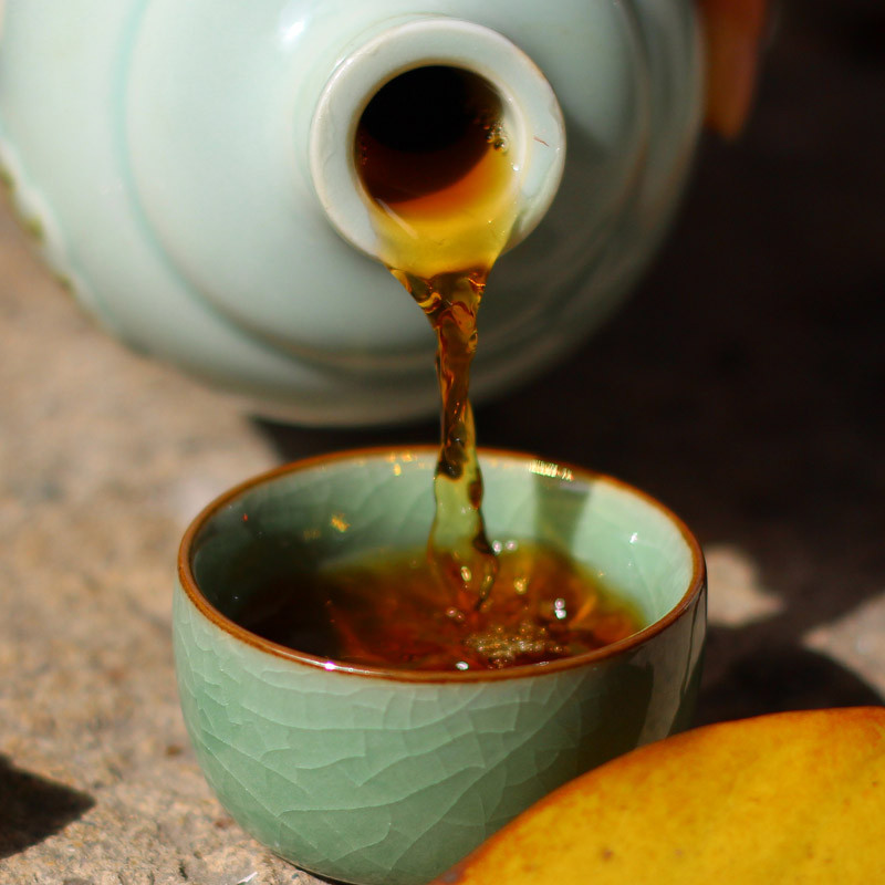 苏沧桑作品,苏沧桑小说