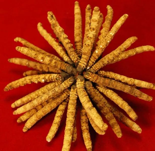 知道家乡的特产怎么发朋友圈,知道自己地区的特产吗