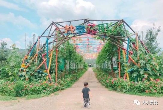 北京周边好玩的野外烧烤,北京适合野外烧烤的地方