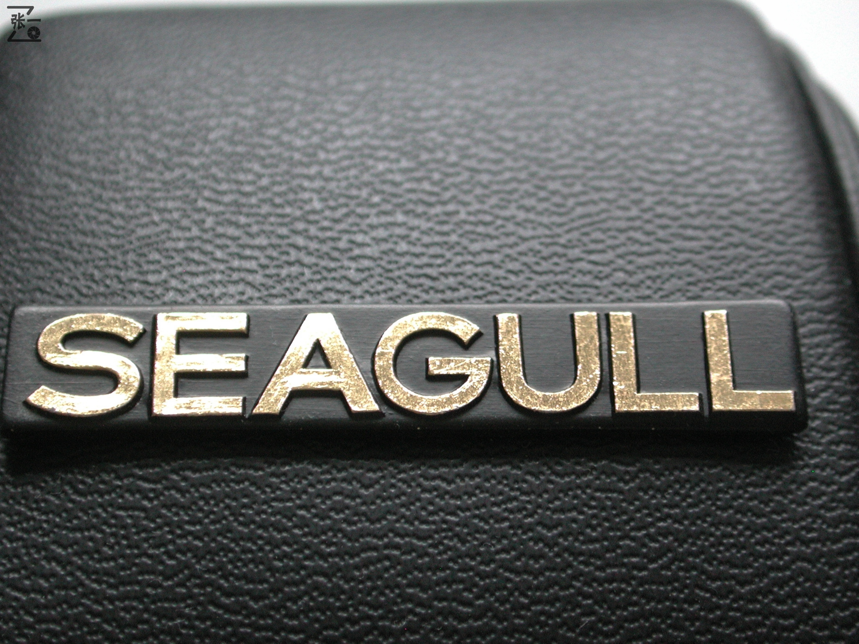 海鸥df照相机,海鸥dh800照相机