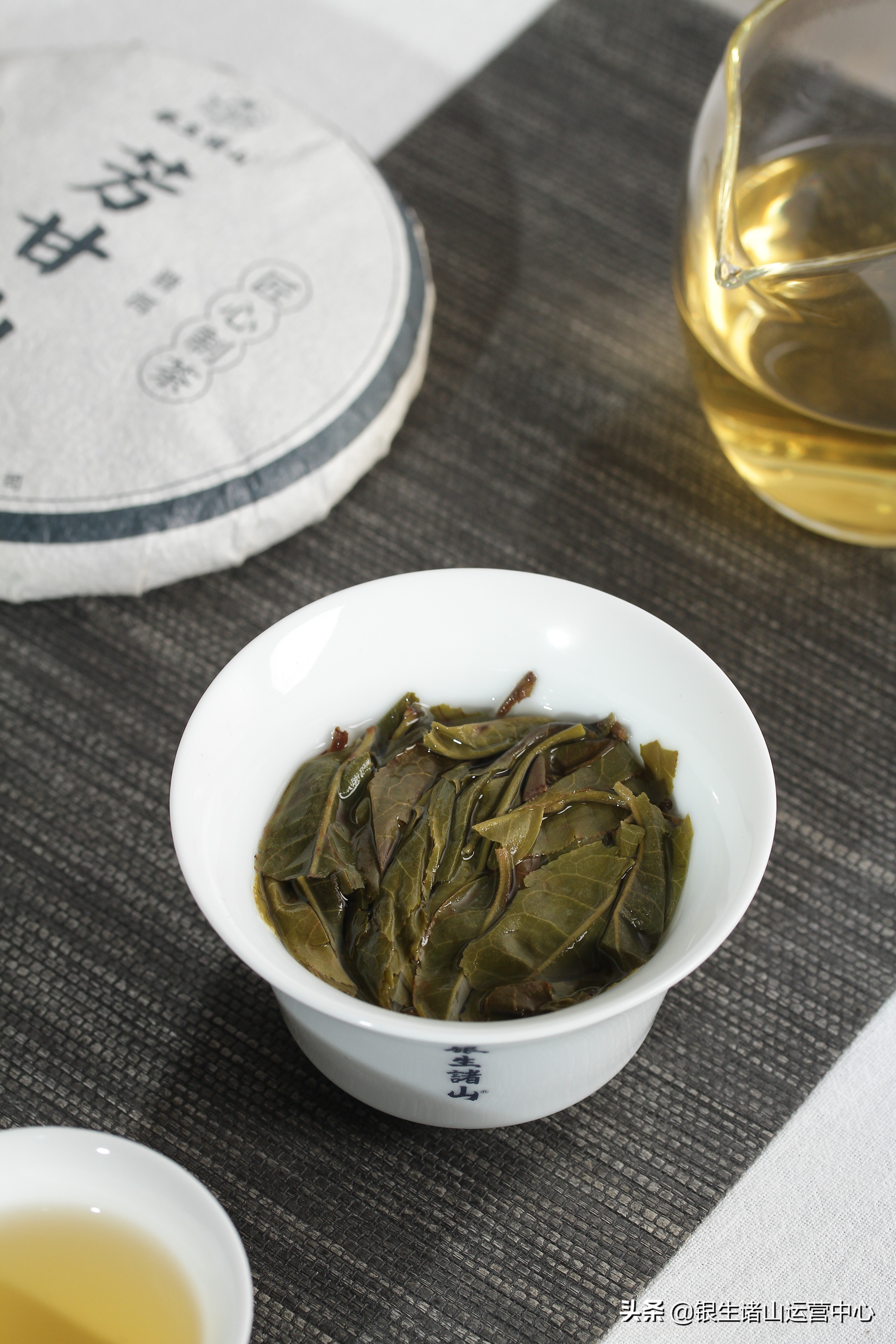 閾剁敓璇稿北鐮栬尪,閾剁敓璇稿北鑼跺彾