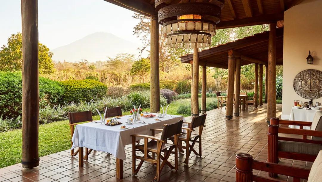 世间稀有的白色长颈鹿母子，在非洲被残忍猎杀，发现时只剩骨骼