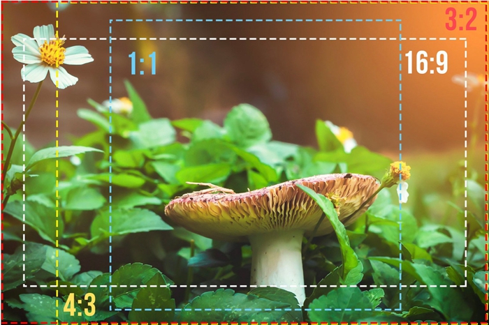 如何调整照片尺寸打印出来不失真,拍照的图片不平整怎么打印清晰