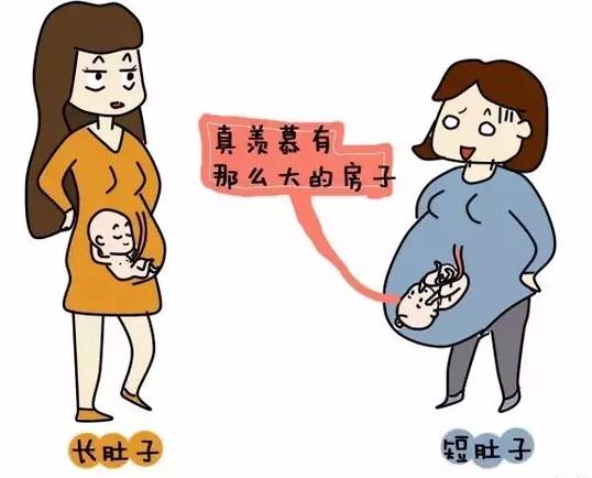 不显怀肚子小,不显怀但是肚子大