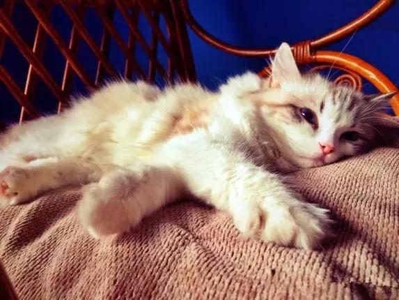 今年夏天在武汉必做的十件事,武汉新春过年坐地铁打卡攻略