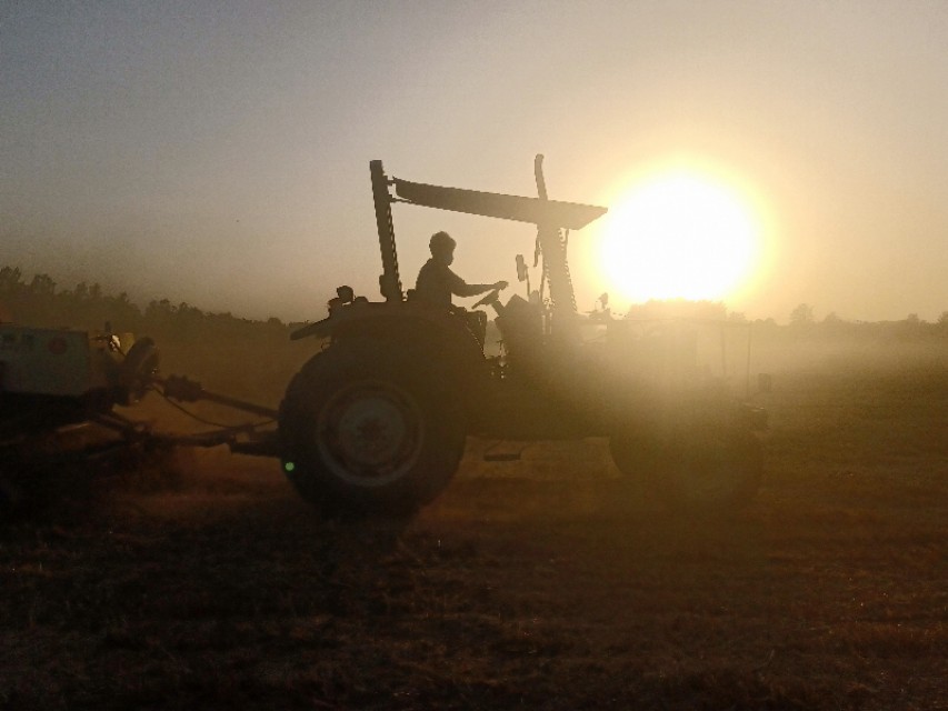 秸秆废物利用价格,湖北沙洋秸秆回收变废为宝