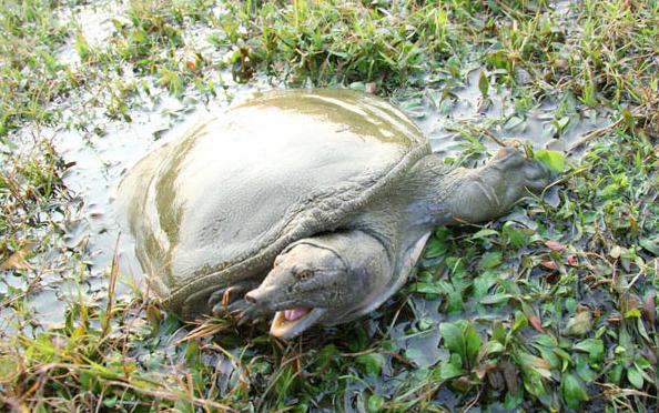 买海鲜技巧和方法,你不知道的买海鲜知识