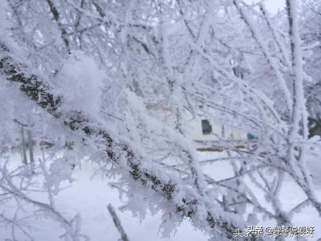 初学弹吉他和弦教学视频,吉他击弦入门教程