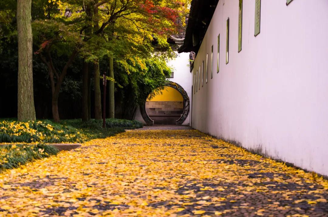 苏州真正的烟雨江南在哪里,江南烟雨苏州古城