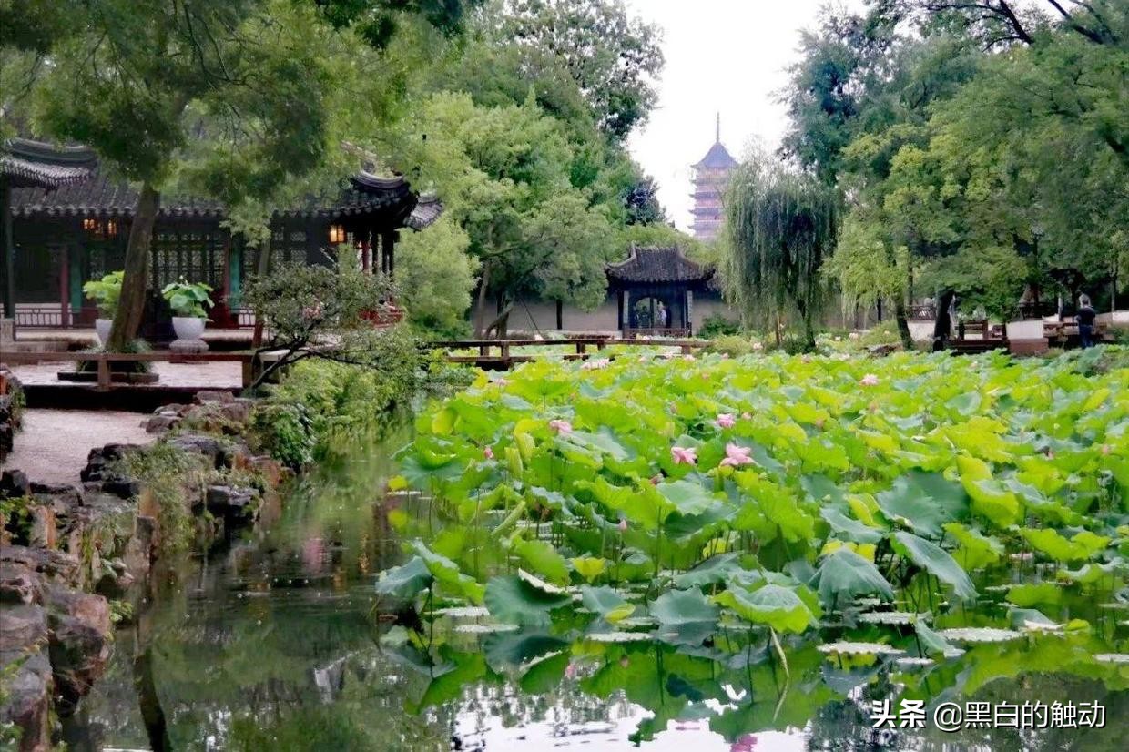 苏州除了拙政园还有哪个园林最好,苏州哪个园林最值得游玩