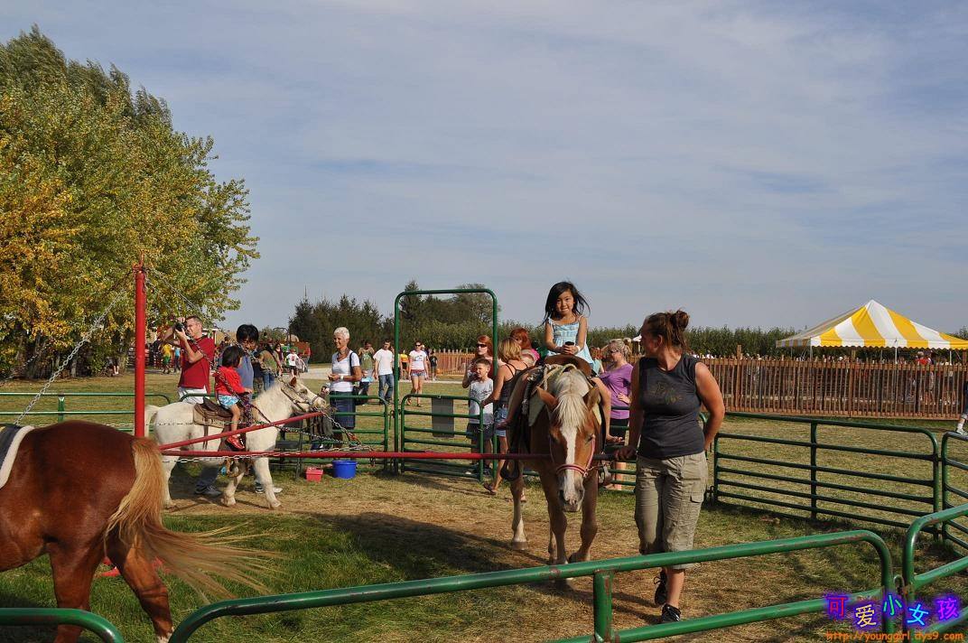 美国农场有多厉害,美国的农场