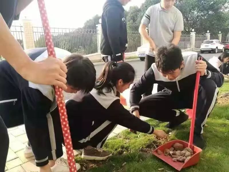 微巡礼|生命力之校——惠州中学