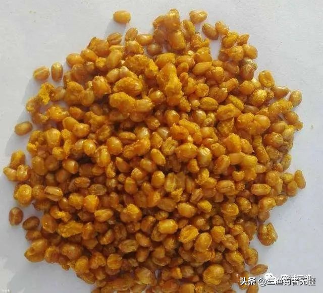 麦粒才是真正的钓鱼神饵，成本低廉效果超牛——盛世三渔