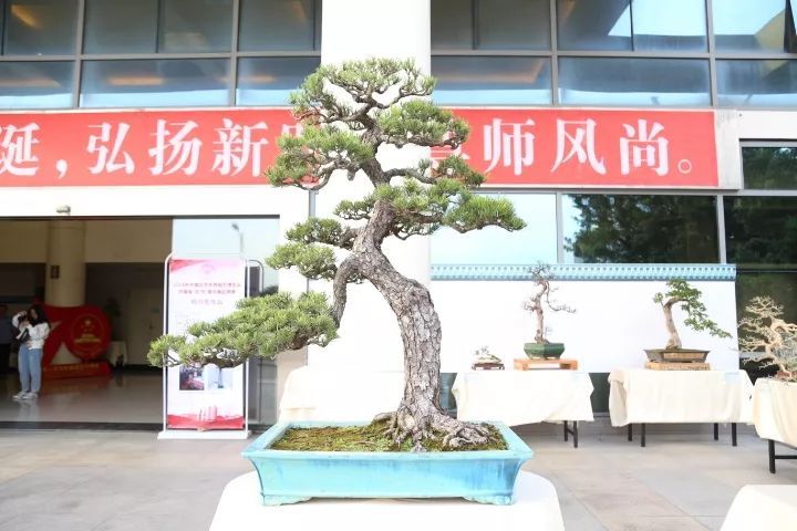 广东科贸职业学院一分钟了解,广东科贸职业学院清远校区校运会