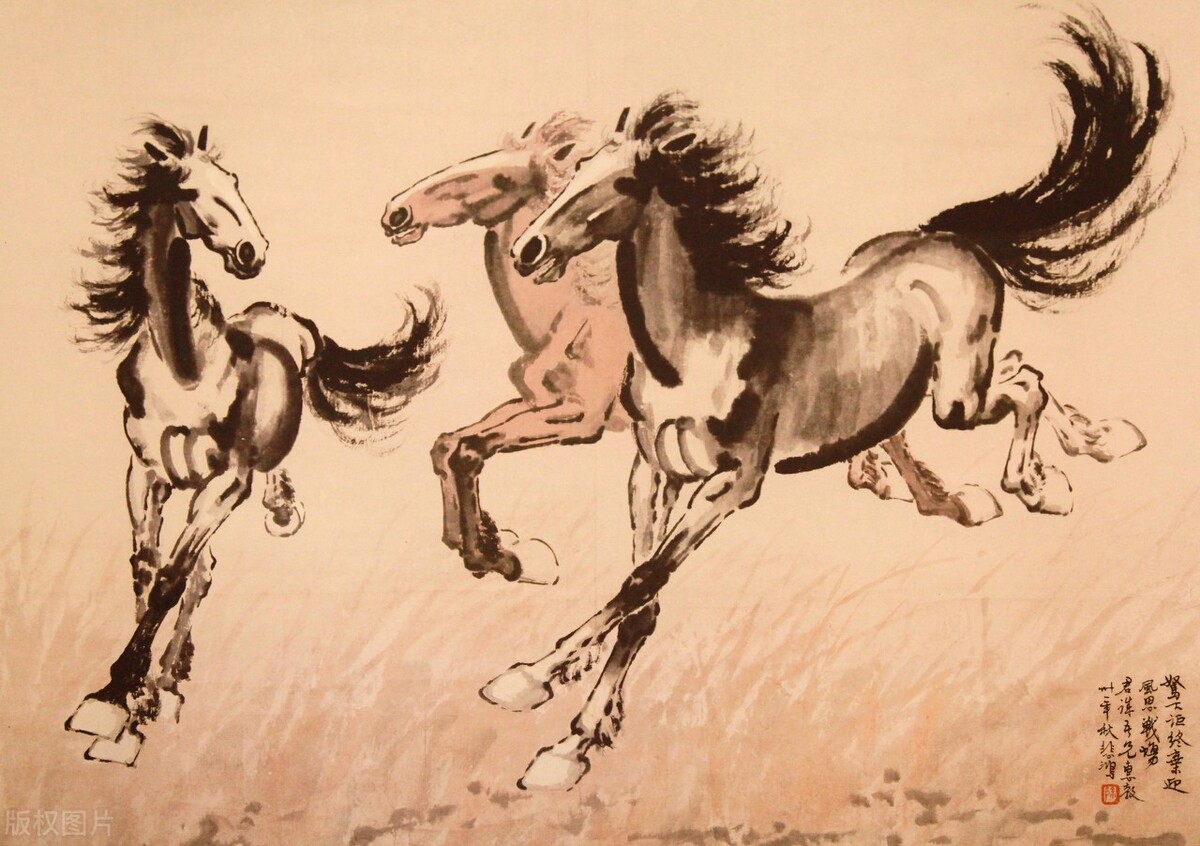 关于庄子与道家思想的感悟,庄子属于道家还是儒家思想