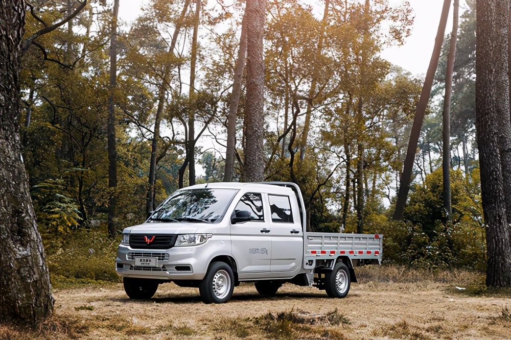 荣光新卡下乡版厢货,汽车下乡五菱荣光新卡多少钱