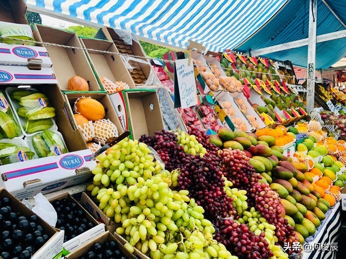 欧洲足球博物馆,足球博物馆museum