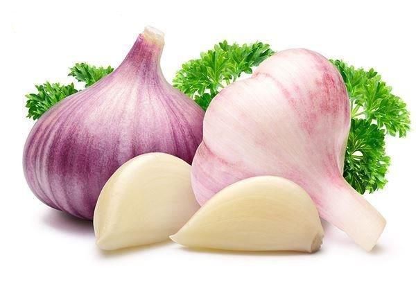 狗狗的十种禁忌食物,狗狗十大禁忌食物