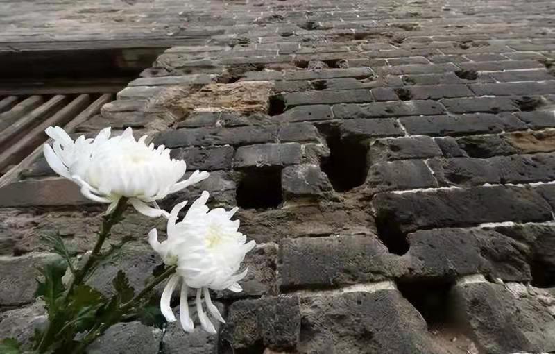 九一八勿忘国耻吾辈自强作文,九一八勿忘国耻吾辈自强儿童画