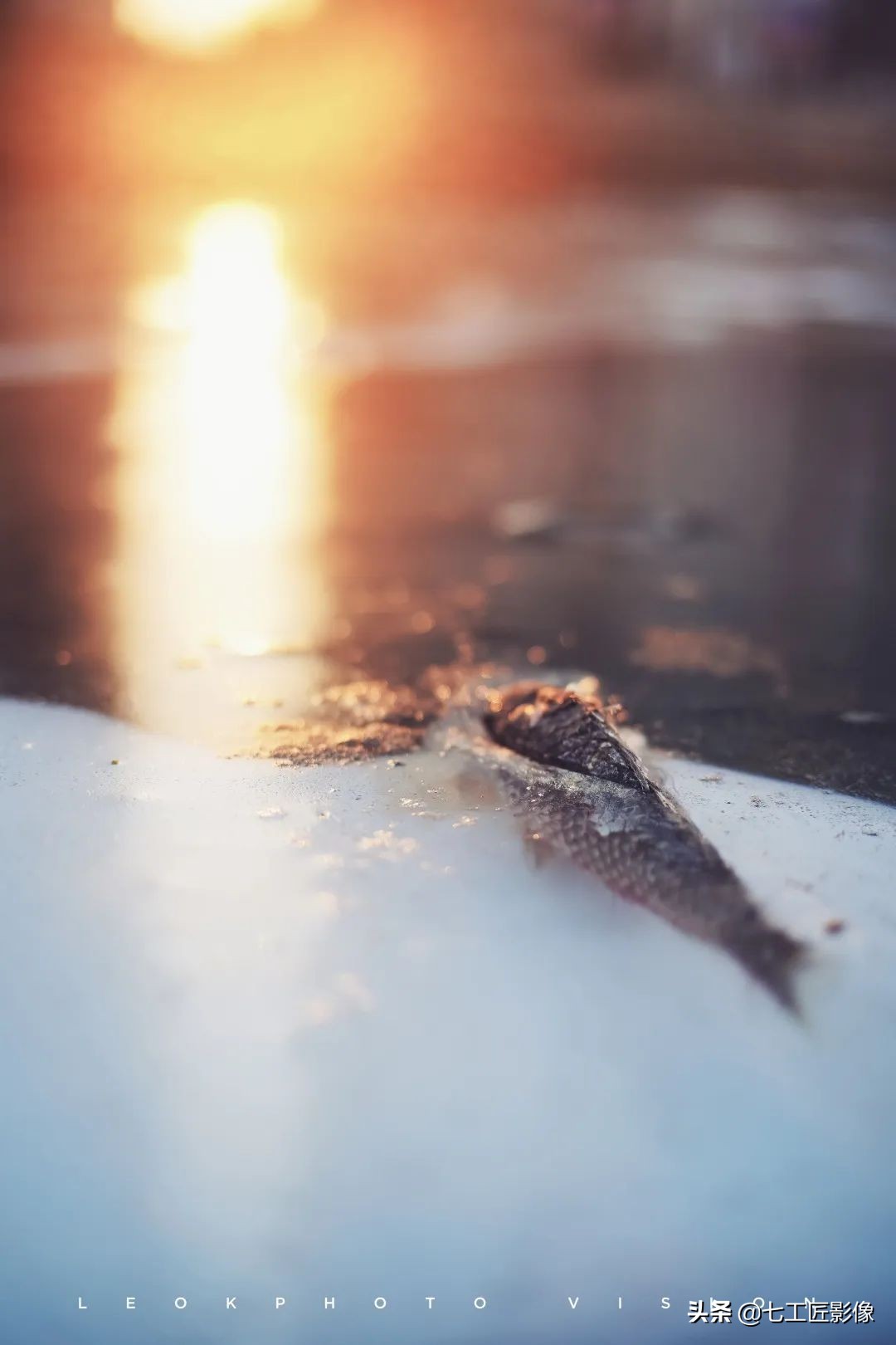 七工匠50mm和35mm哪个合适,趣味体验