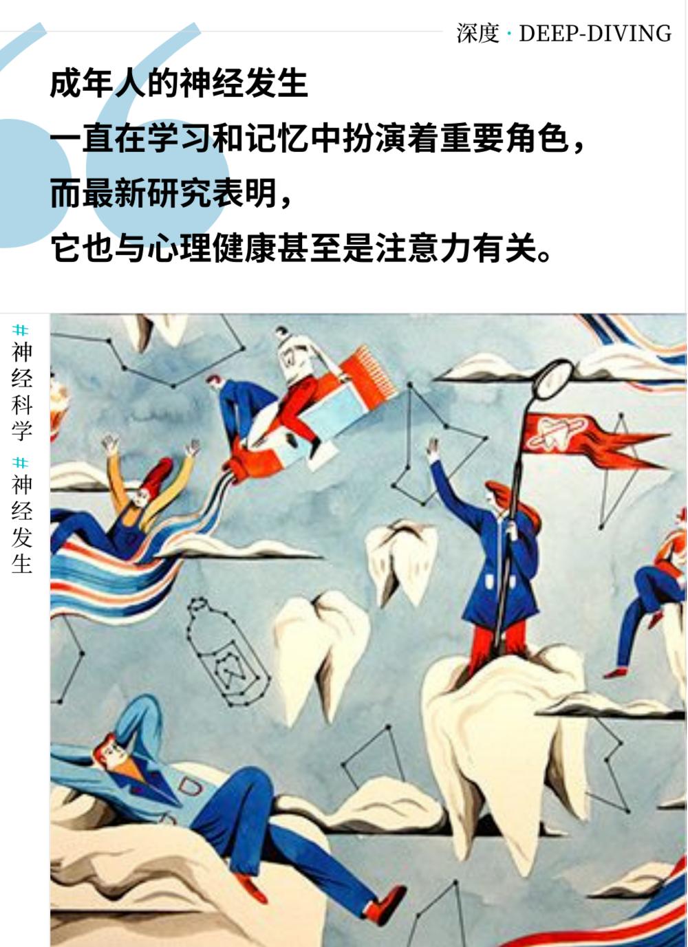 成人大脑神经元视频,人体大脑神经元有多少