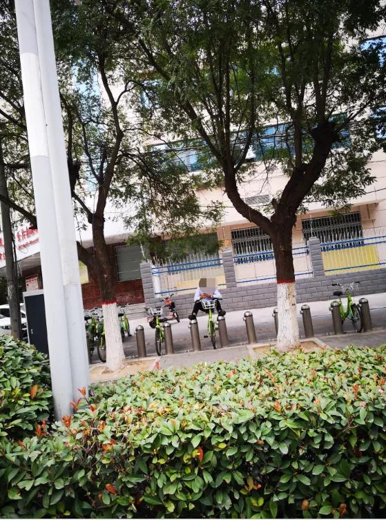 心塞！长葛一男子弄丢一辆“小绿”，竟然要赔……