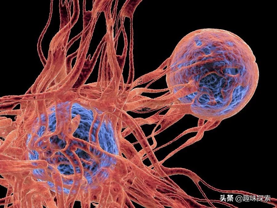 以色列癌症治好能活几年,以色列癌症突破消息真假