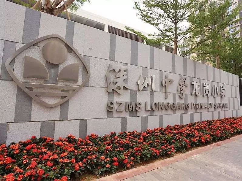 龙岗区私立小学排名前十,龙岗区小学质量排名一览表