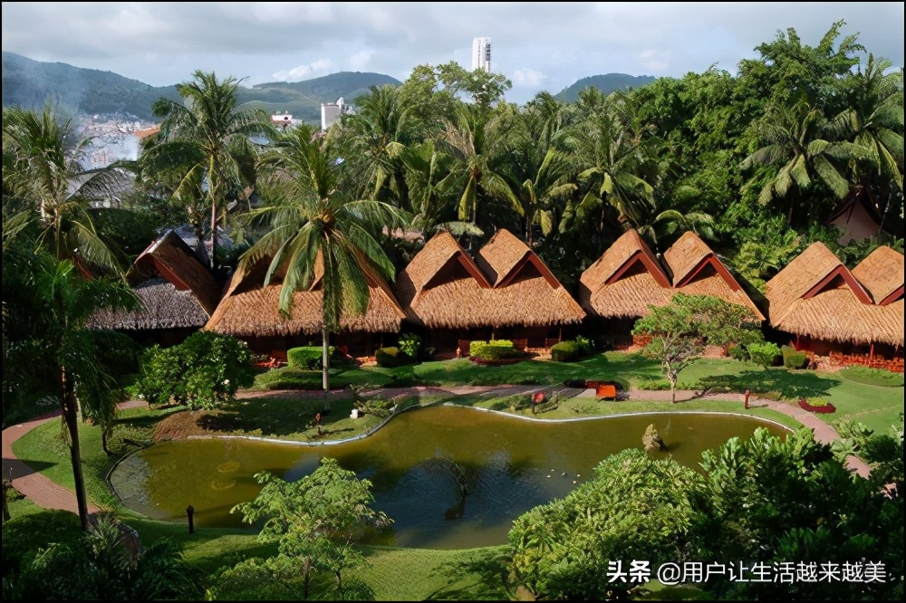 海南省黎族殡葬习俗,海南黎族的生活习俗