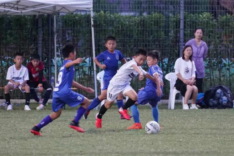 群英荟萃可以一期全拿完吗,群英荟萃重复获得多少盒子