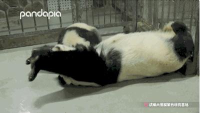 冬天就是要拥抱,冬季拥有温暖的抱枕