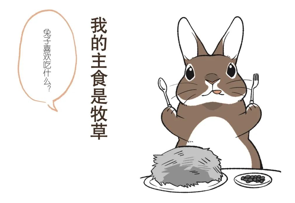 兔子不好养是什么意思,养兔子技巧