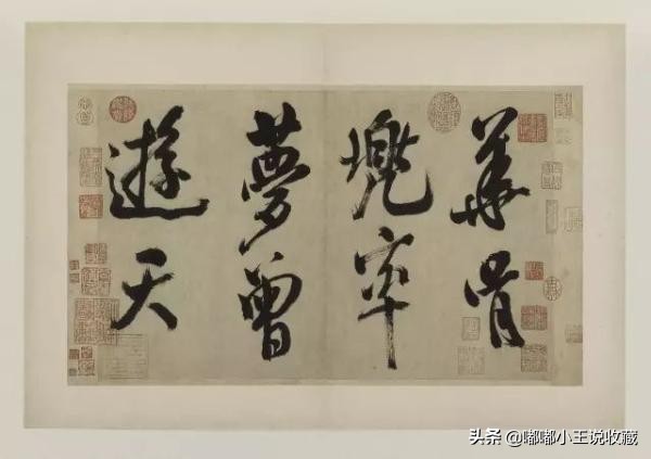 上海展出唐寅秋风纨扇图,博物馆唐寅