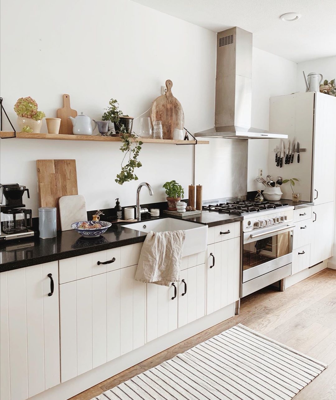 赏心悦木生活家居馆,赏心悦木盆景