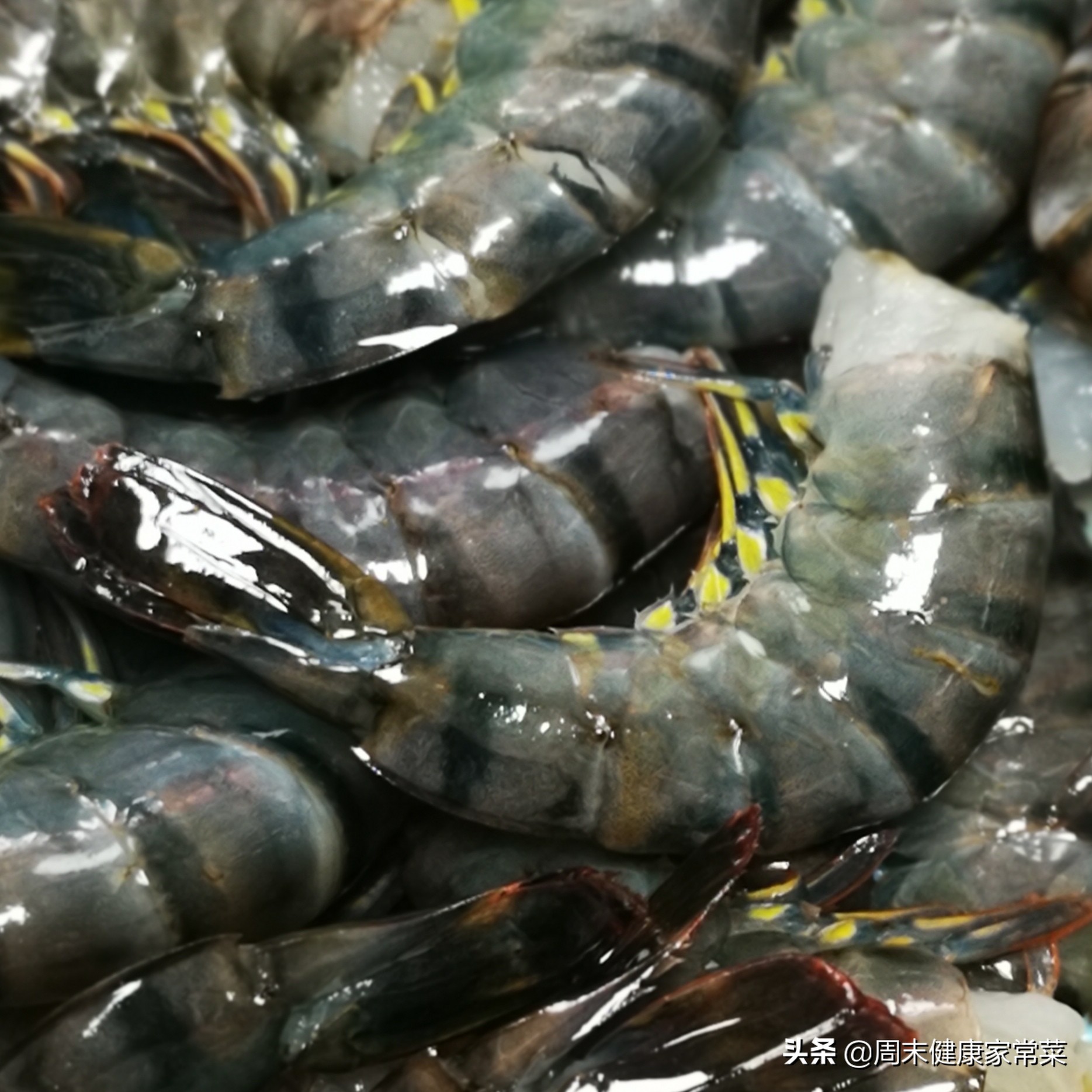 海虾买回来放多久不死,海虾活的怎么处理