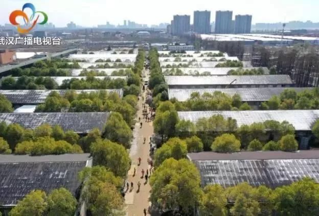 防范疫情的第一道防线,防控疫情的最佳手段