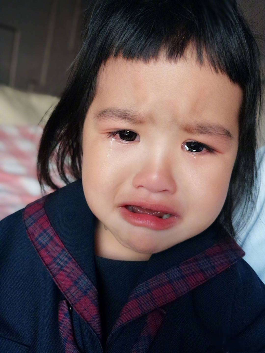 孕妇生下斑点狗宝宝,斑点狗一胎生宝宝