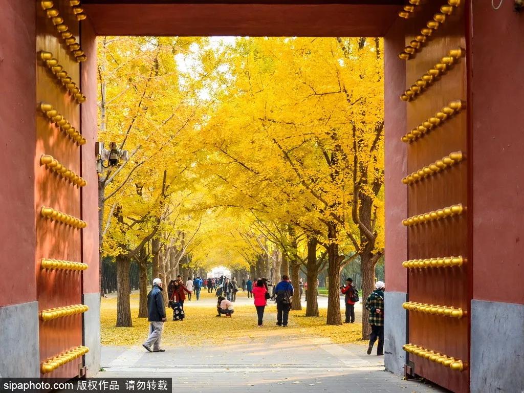 打卡北京十大古迹,打卡北京100个景点