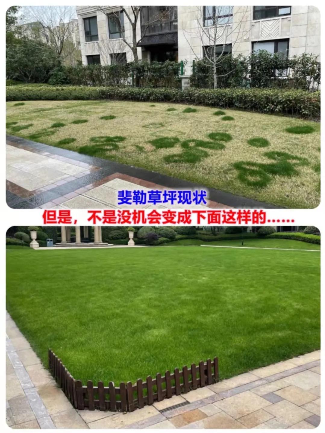 开发商和物业怎么定服务标准,物业收物业费需要提供哪些服务